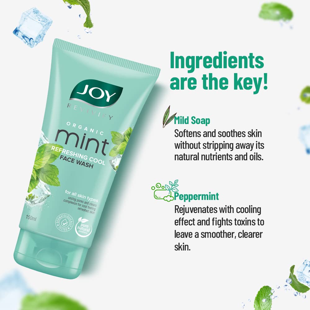Organic Mint Refreshing Cool Face Wash – Joy Personal Care