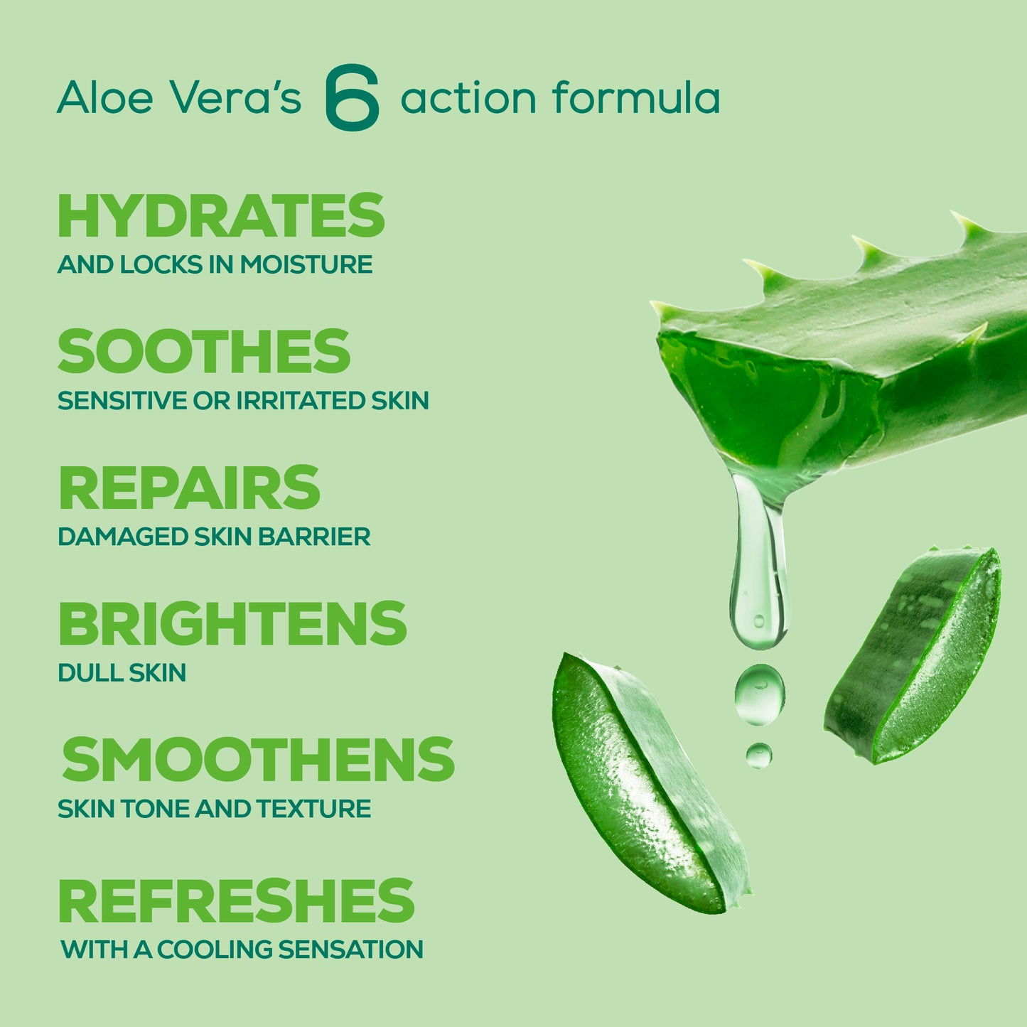 Pure Aloe Multi-Benefit Skin Cream
