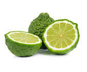 Bergamot