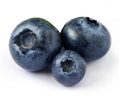 Blueberry