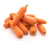 Carrot Seed Extract