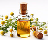 Chamomile Essential Oil