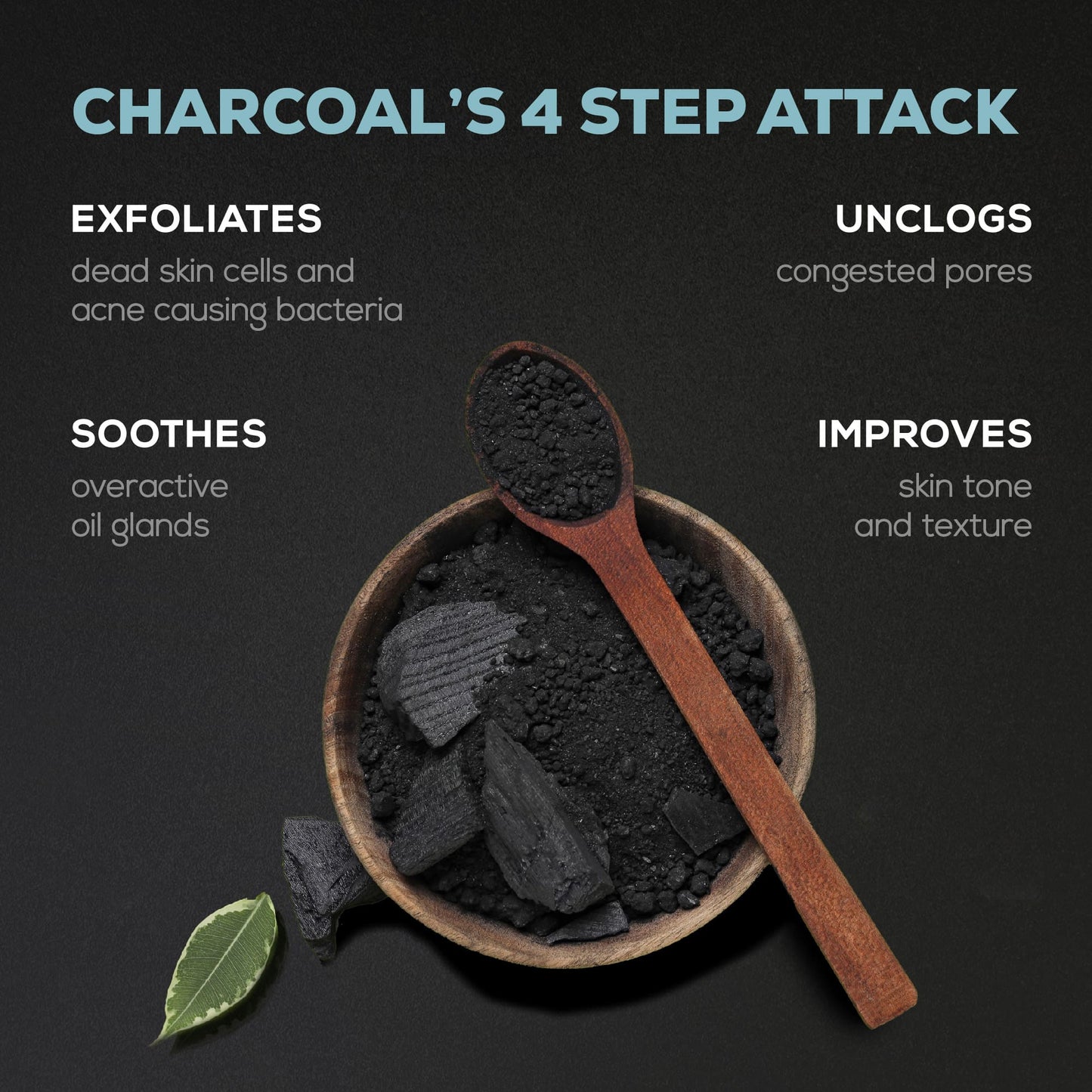 Activated Charcoal Skin Purifying + Deep Detox Face Wash