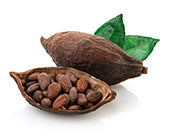 Cocoa Butter
