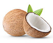 Coconut