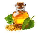 Corrinder Extract