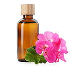 Geranium Oil