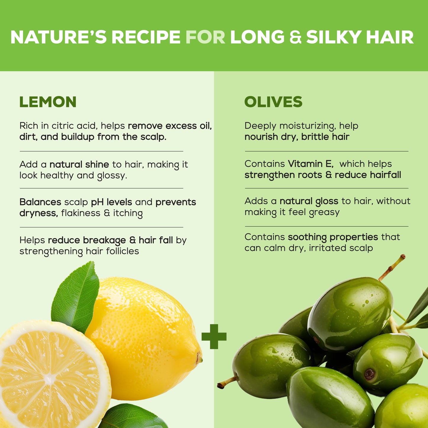 Hair Fruits Hair Dryness Control Conditioning Shampoo