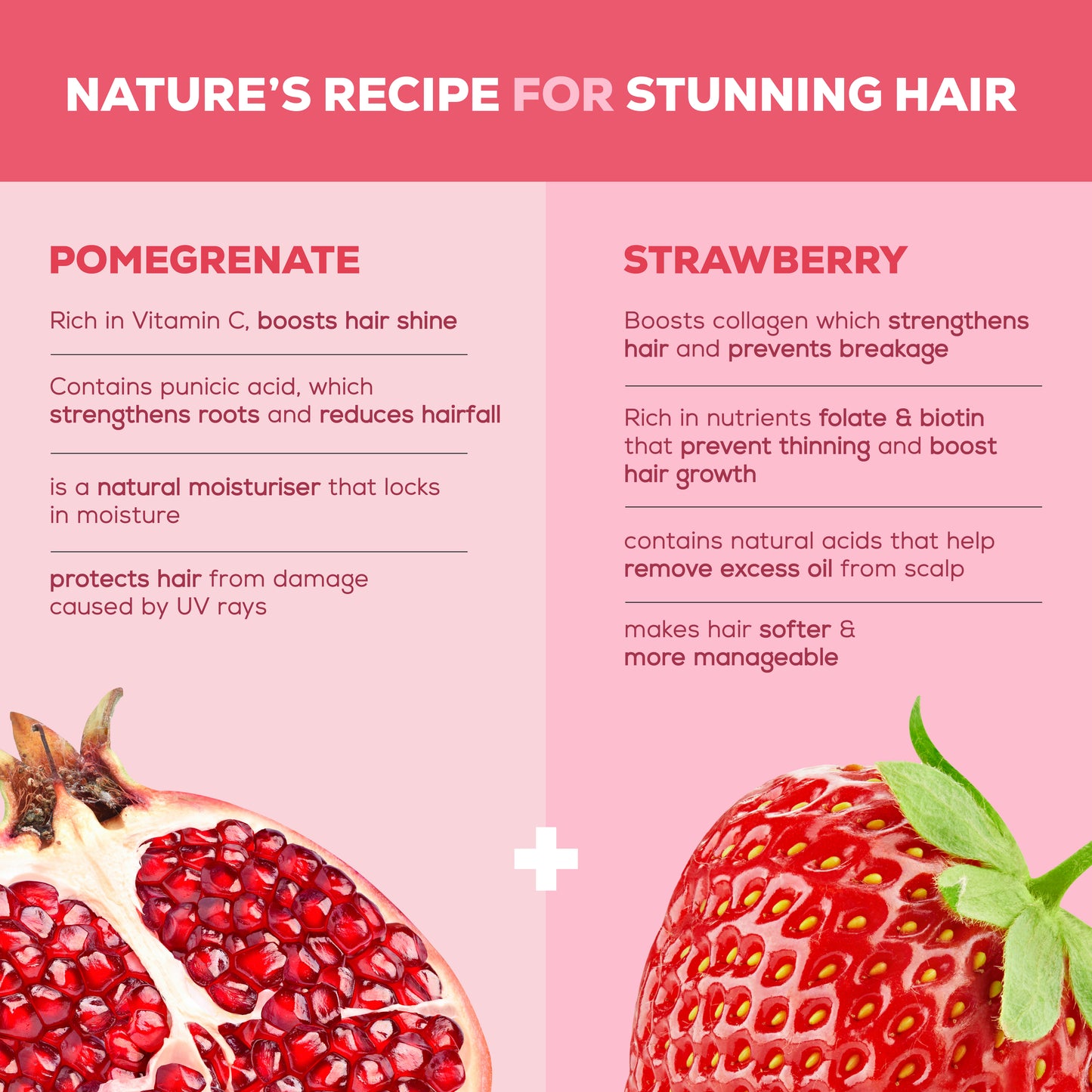 Hair Fruits Hair fall Defense Conditioning Shampoo