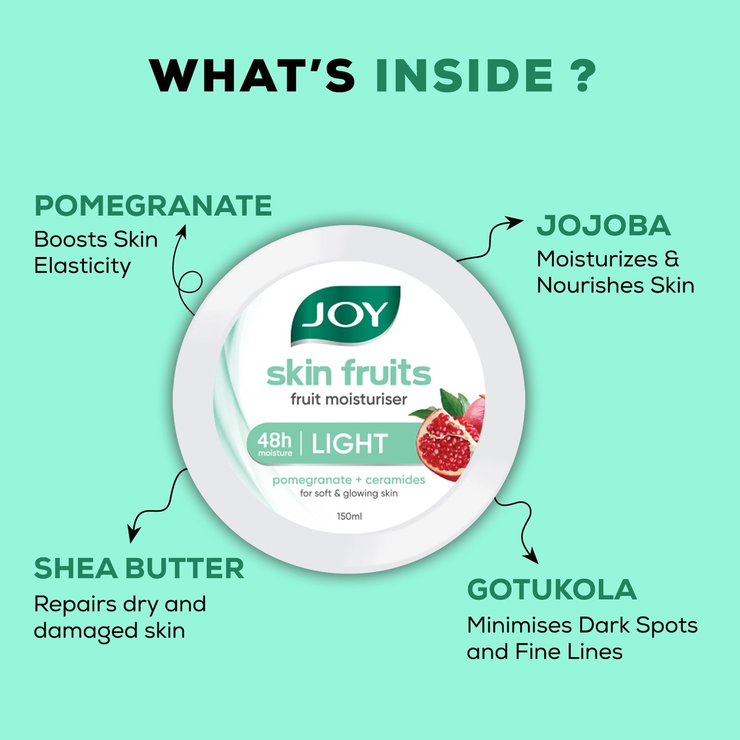 Skin Fruit Fast Absorbing Light Moisturizer