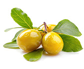 Kakadu Plum