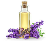 Lavender Oil