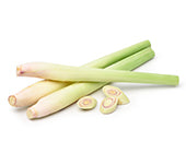 Lemongrass