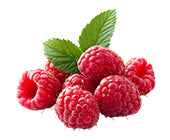 Raspberry