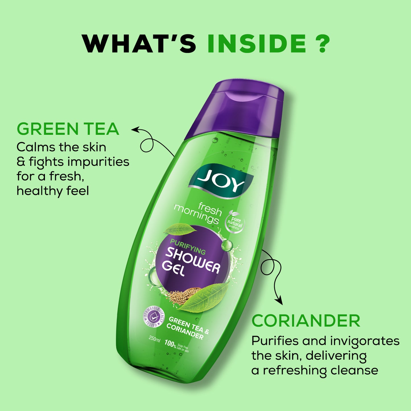 Fresh Morning Purifying Green Tea Shower Gel