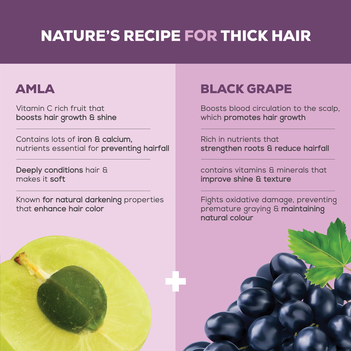 Hair Fruits Shining Black Conditioning Shampoo